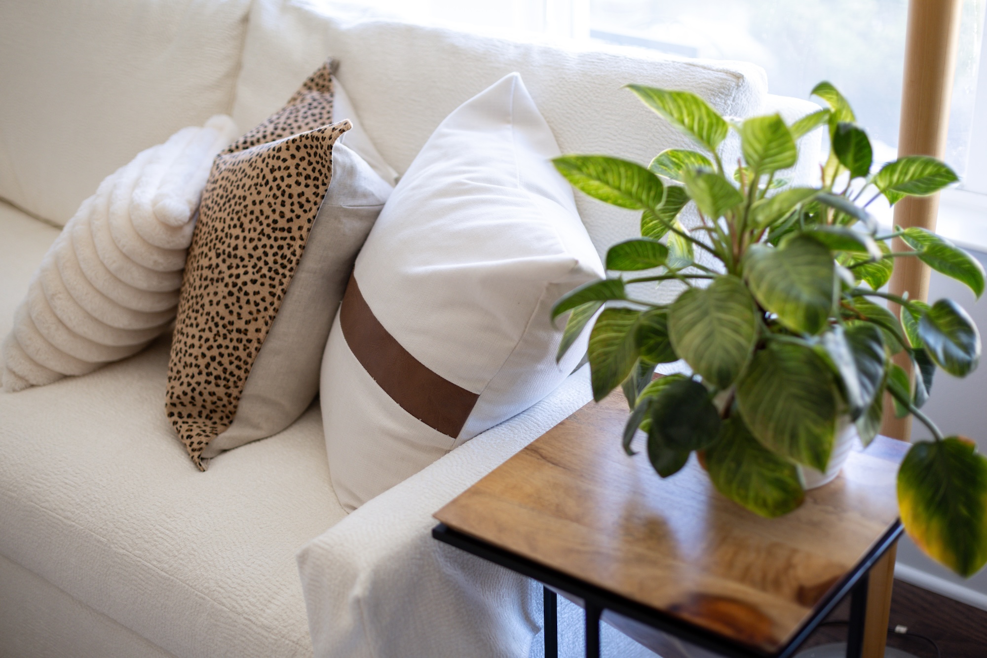 Accent Pillows On White Sofa Living Room Design
