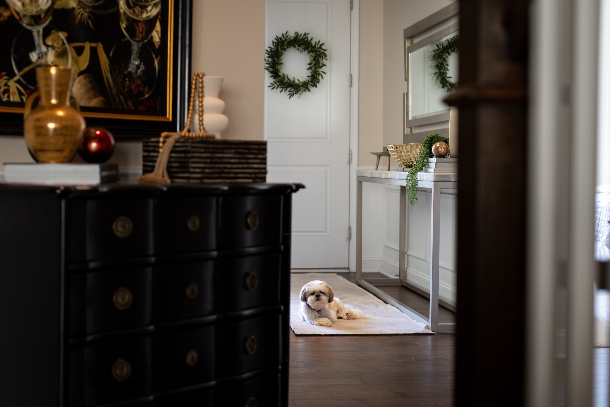 Dog On Runner Rug Entryway Front Door