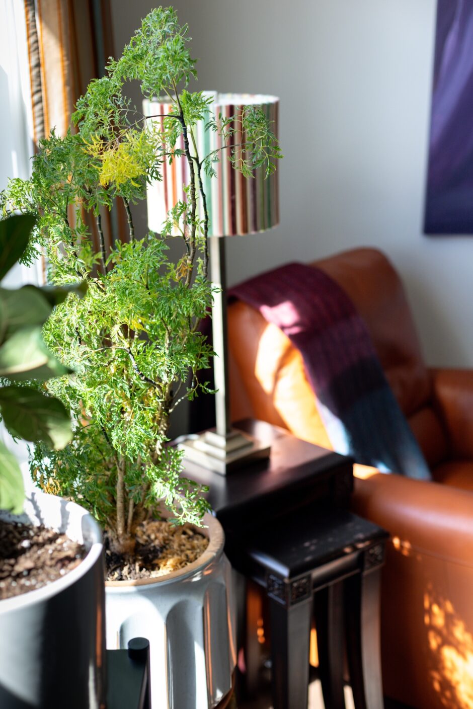 Home Office Design Denver Nc